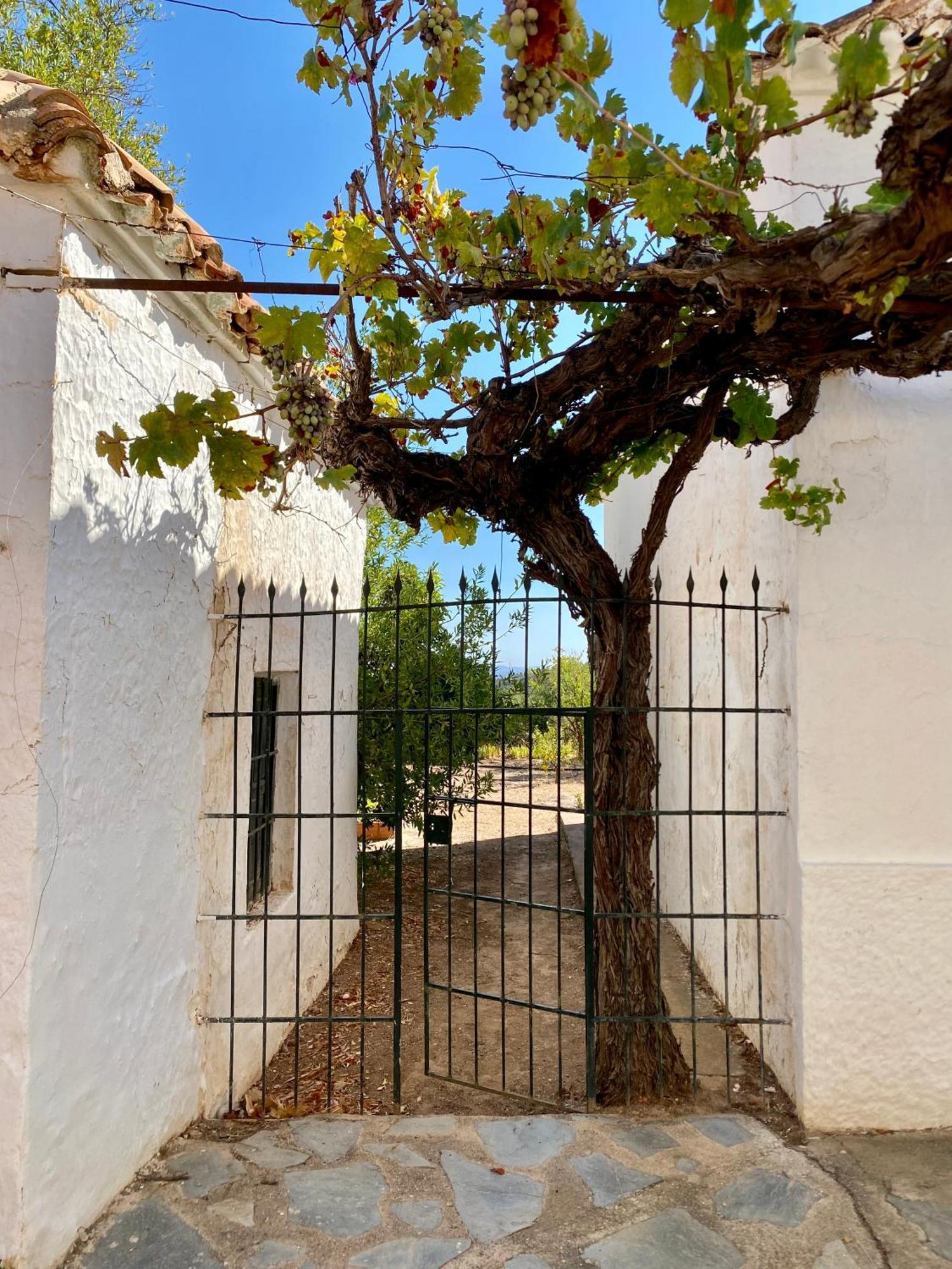 Real Fundicion De Alcora Villa Canjayar Exterior photo